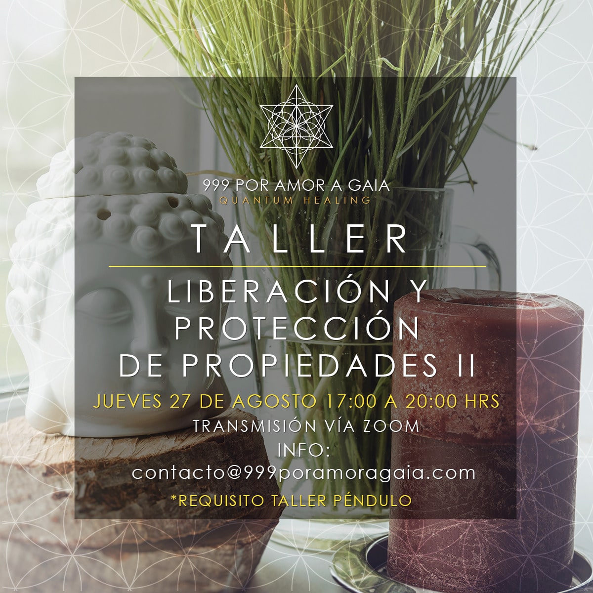 Liberación de Propiedades