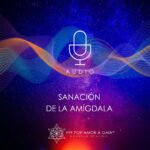 Sanación de la Amígdala Sanación de la Amígdala