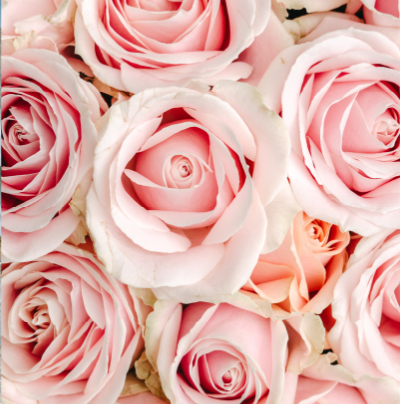 999 Empieza por aquí