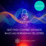 ¿Qué pasa cuando estamos bajo las hormonas del Estrés